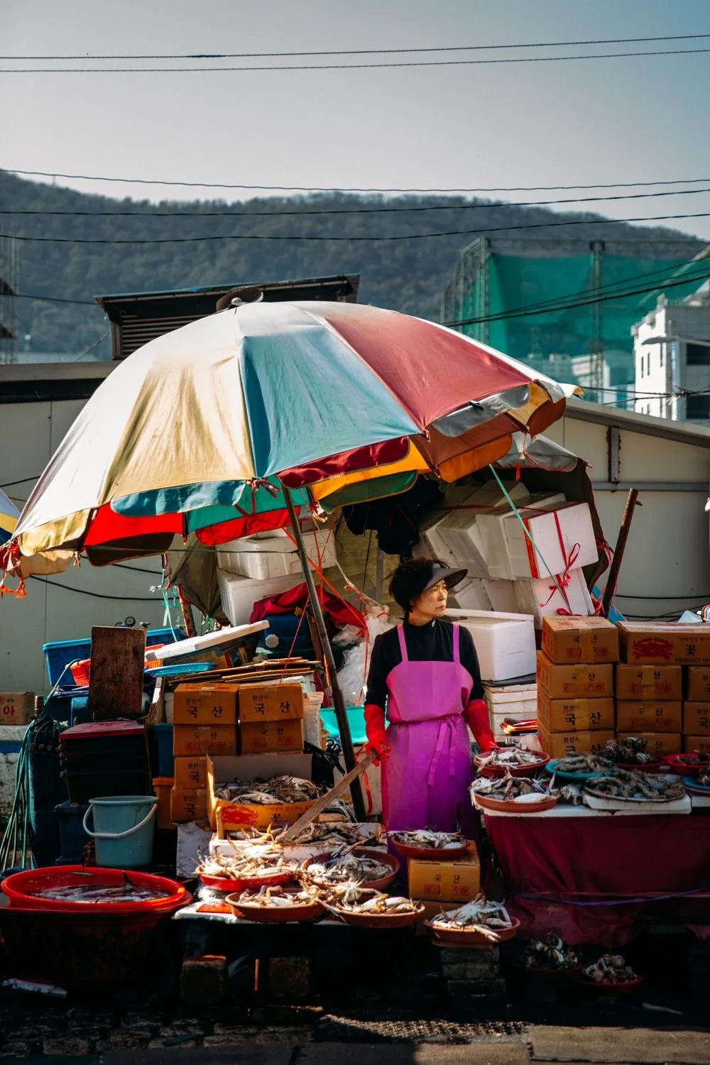 Busan people feed portrait 79